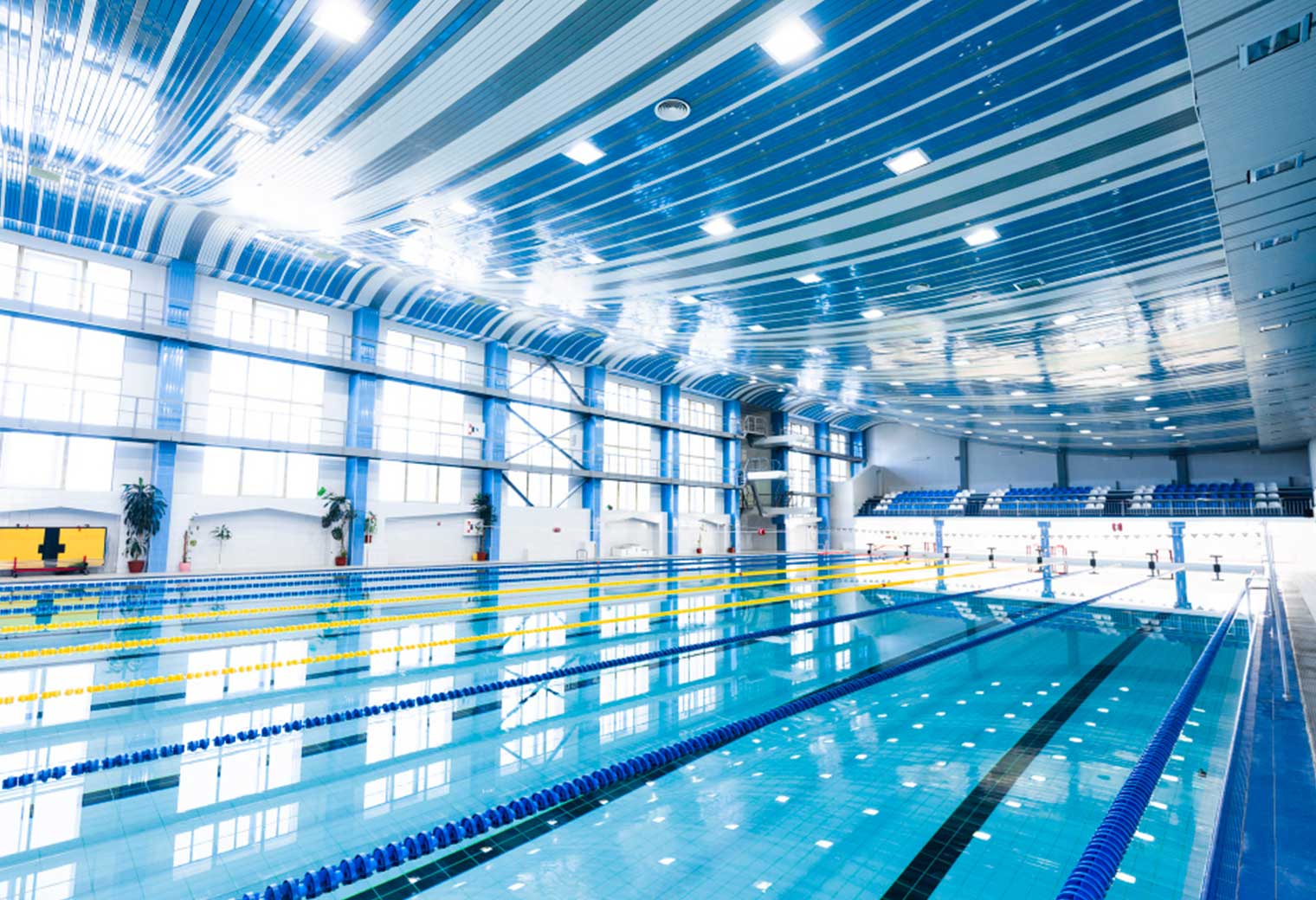 Benefits of Installing an Olympic Pool for Sports Complex